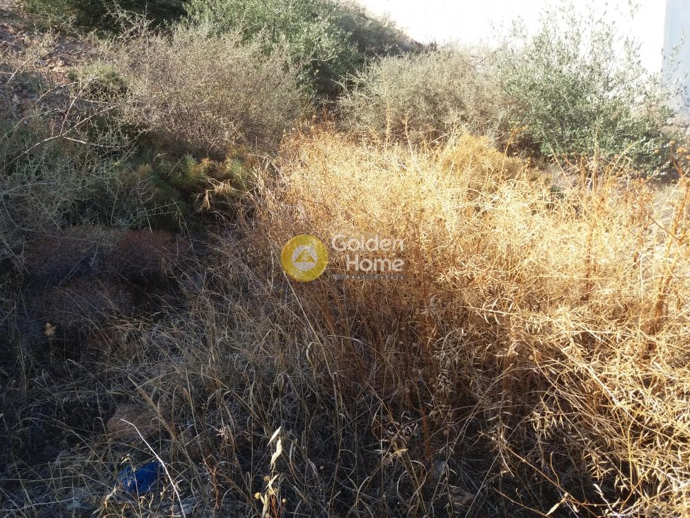 Οικόπεδο στην Σαρωνίδα, Σαρωνίδα — Φωτογραφία 10 από 12