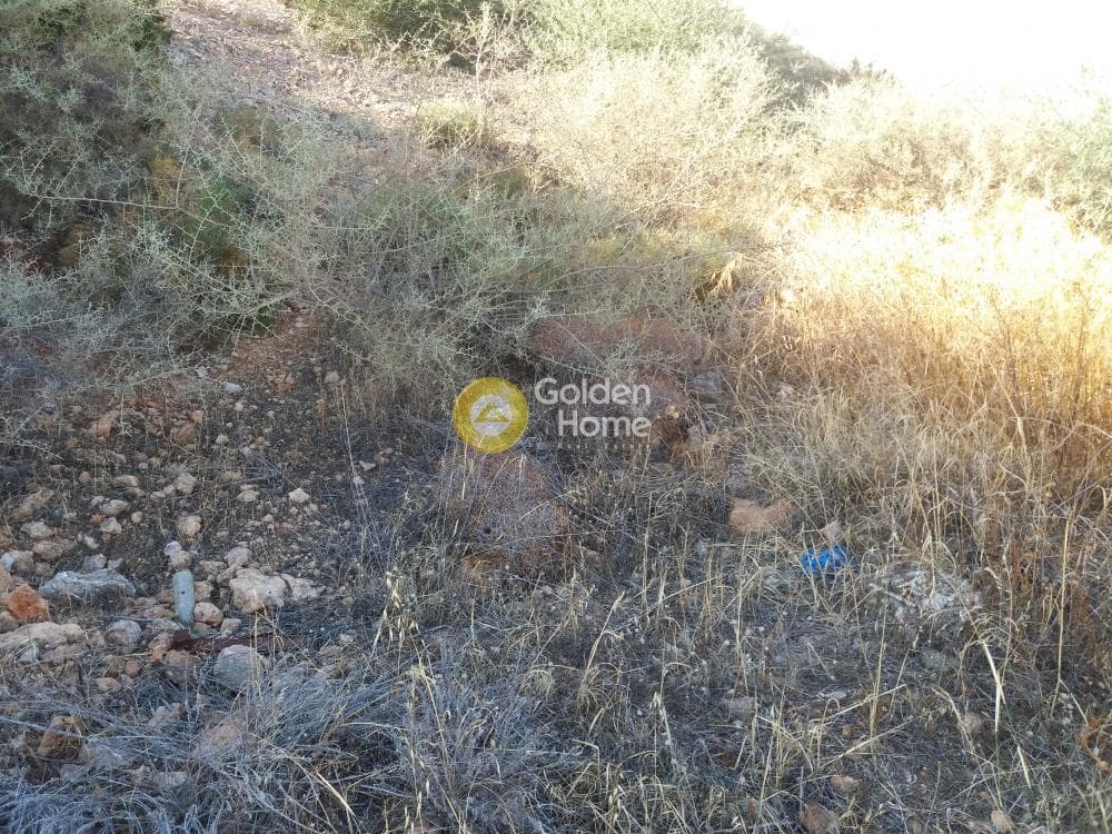 Οικόπεδο στην Σαρωνίδα, Σαρωνίδα — Φωτογραφία 4 από 12