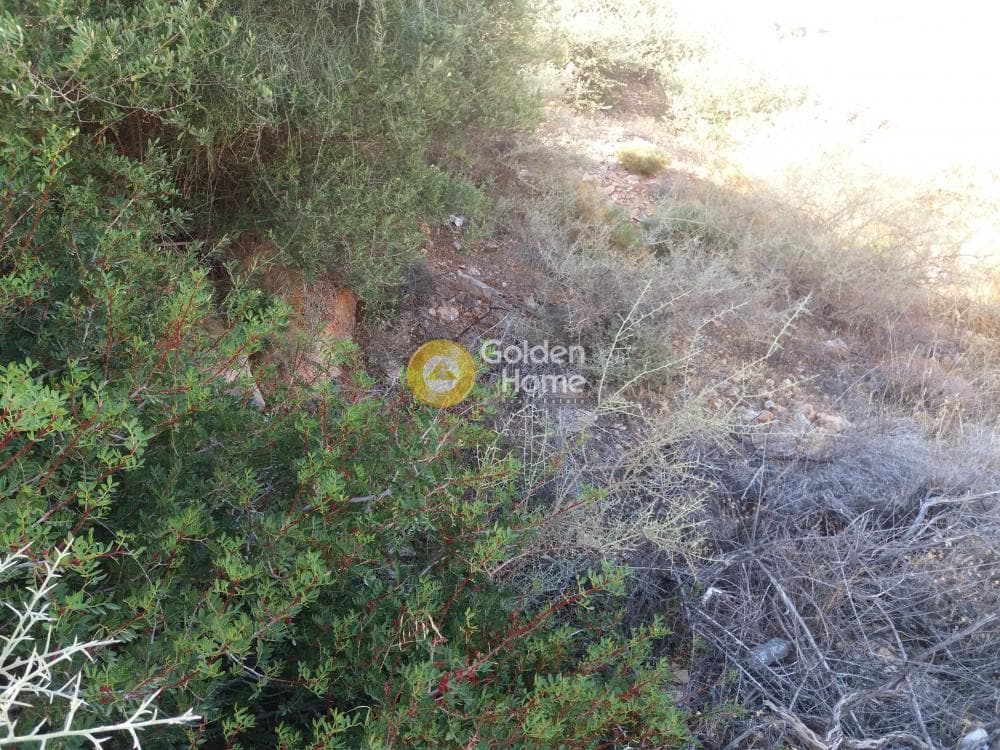 Οικόπεδο στην Σαρωνίδα, Σαρωνίδα — Φωτογραφία 8 από 12