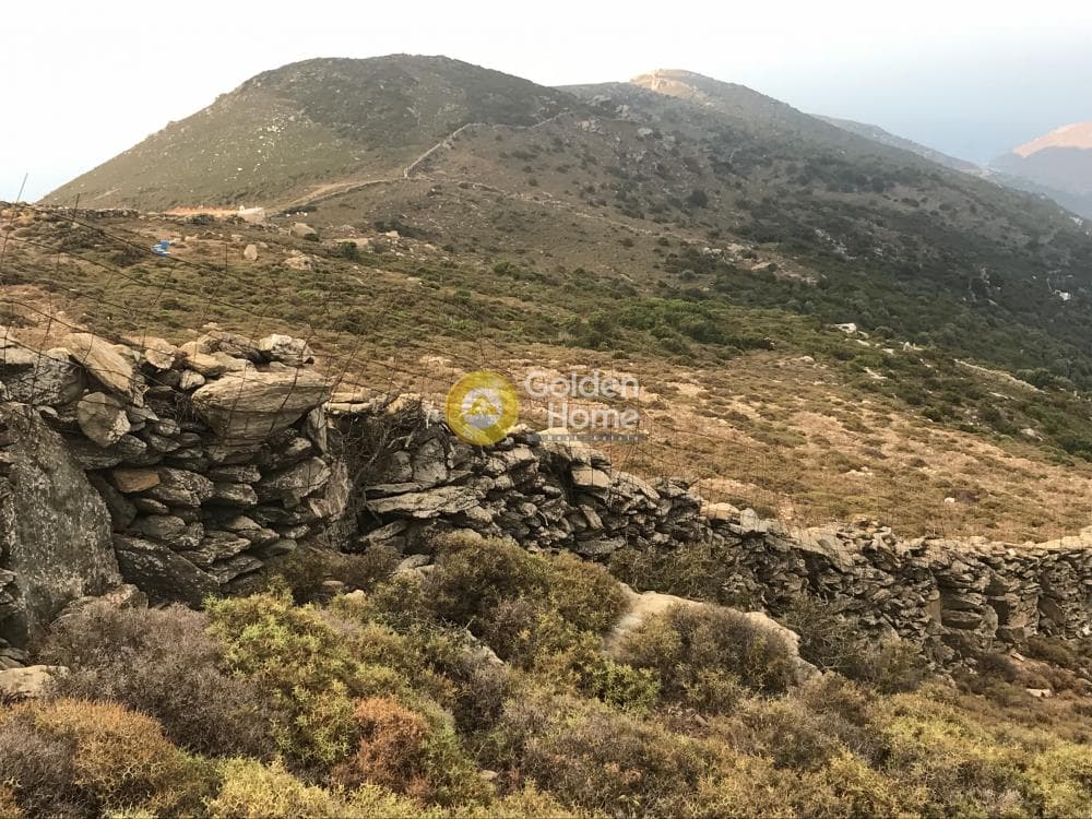 Parcel in Apikia, Andros — Photo 1 of 3