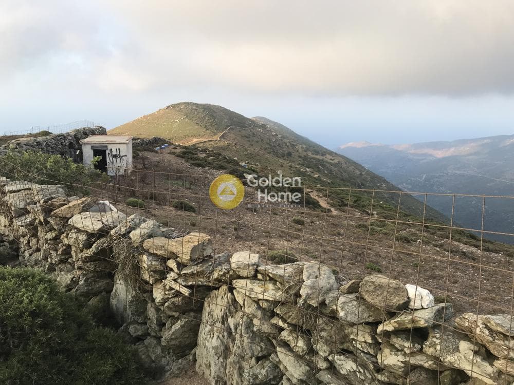 Parcel in Apikia, Andros — Photo 3 of 3