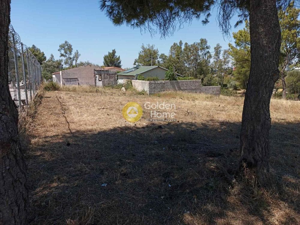 Building Plot in Adames Oikismos Grammos - Foinikas, Kifisia — Photo 1 of 2