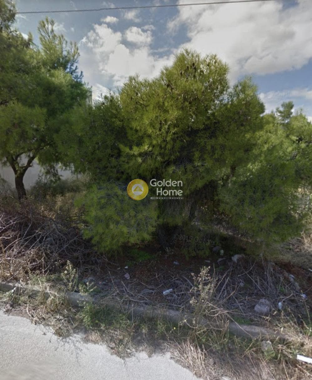 Building Plot in Selinia, Salamina — Photo 1 of 2