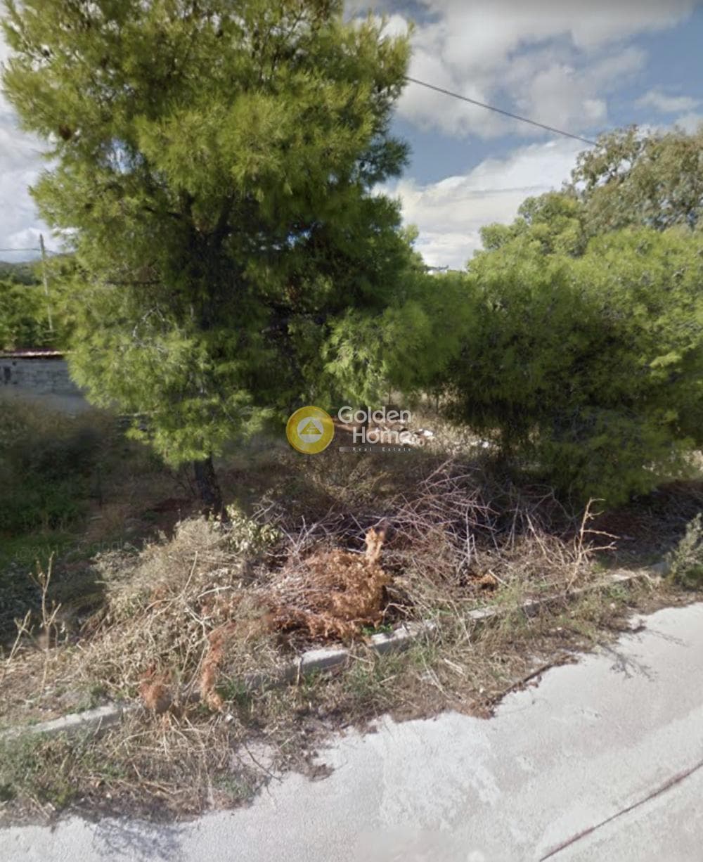 Building Plot in Selinia, Salamina — Photo 2 of 2