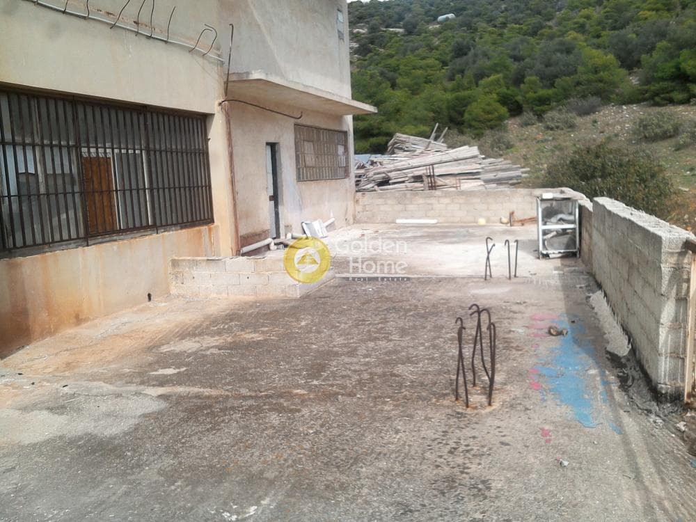 Βιομηχανικός Χώρος στην Πεύκα Βέρδη, Πετρούπολη — Φωτογραφία 17 από 18