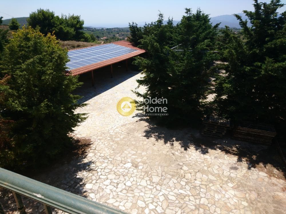 Μονοκατοικία στην Κέντρο, Κ. Καπανδριτίου — Φωτογραφία 23 από 38