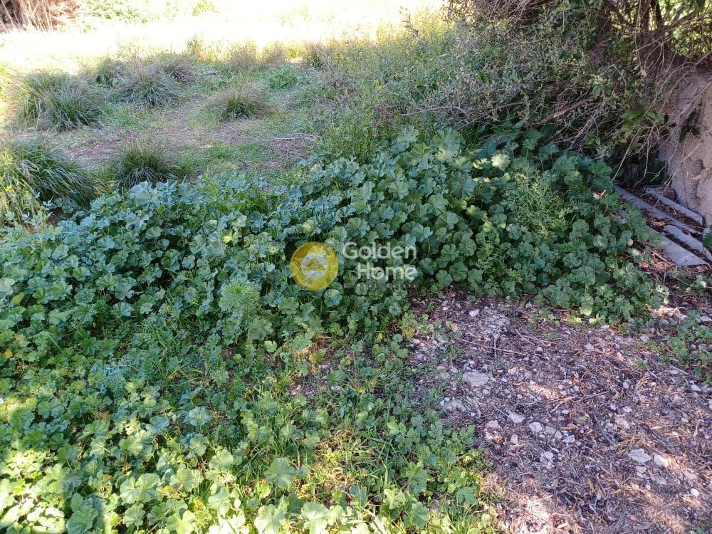 Building Plot in Politeknon, Ilion — Photo 10 of 15
