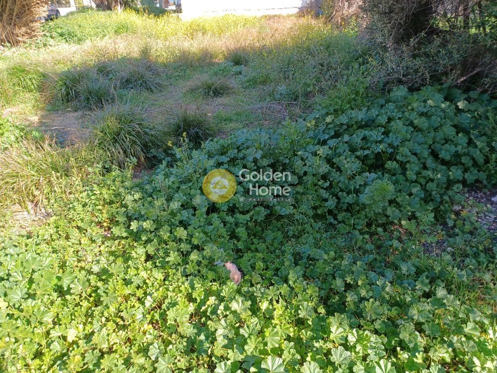 Building Plot in Politeknon, Ilion — Photo 9 of 15