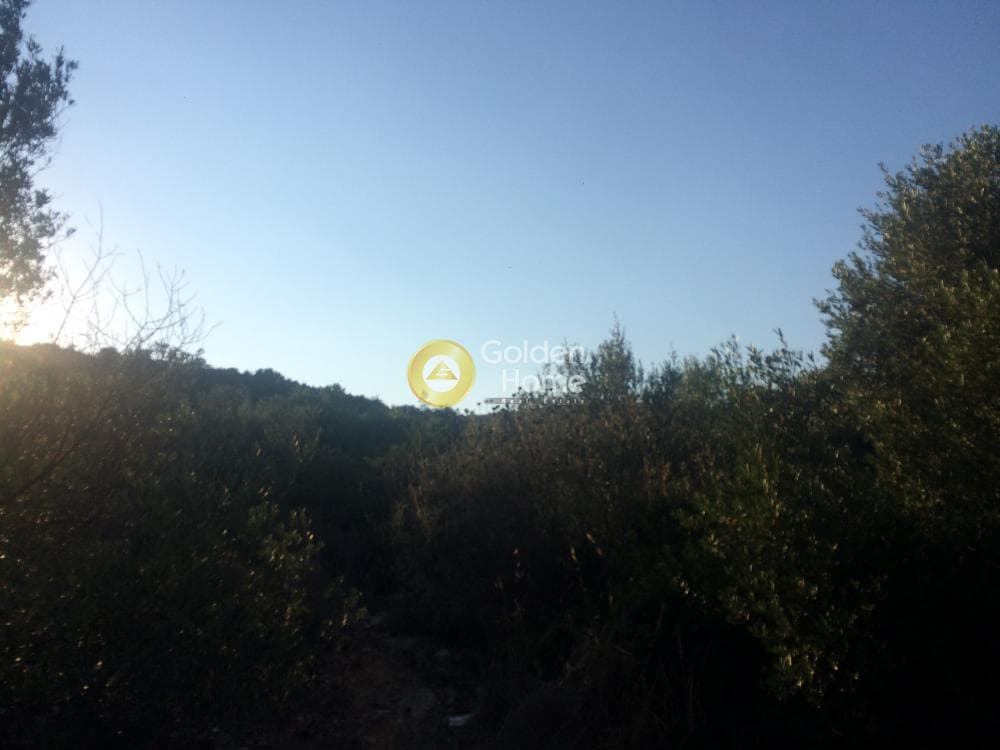 Αγροτεμάχιο στην Αγία Μαρίνα, Κορωπί — Φωτογραφία 2 από 5