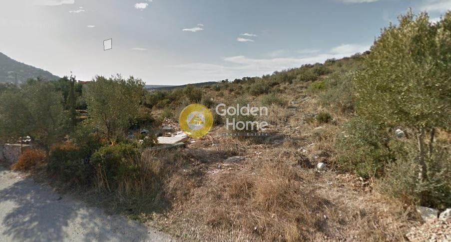 Αγροτεμάχιο στην Αγία Μαρίνα, Κορωπί — Φωτογραφία 5 από 5