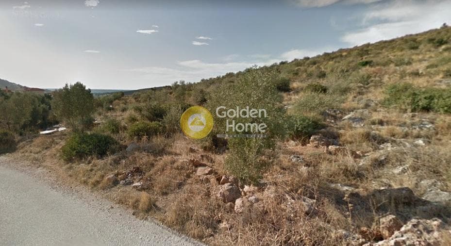 Αγροτεμάχιο στην Αγία Μαρίνα, Κορωπί — Φωτογραφία 1 από 5