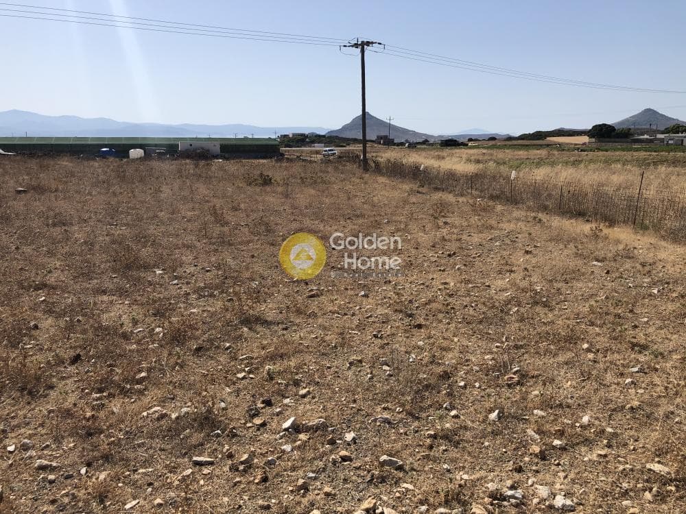 Parcel in Glifades, Paros — Photo 7 of 11