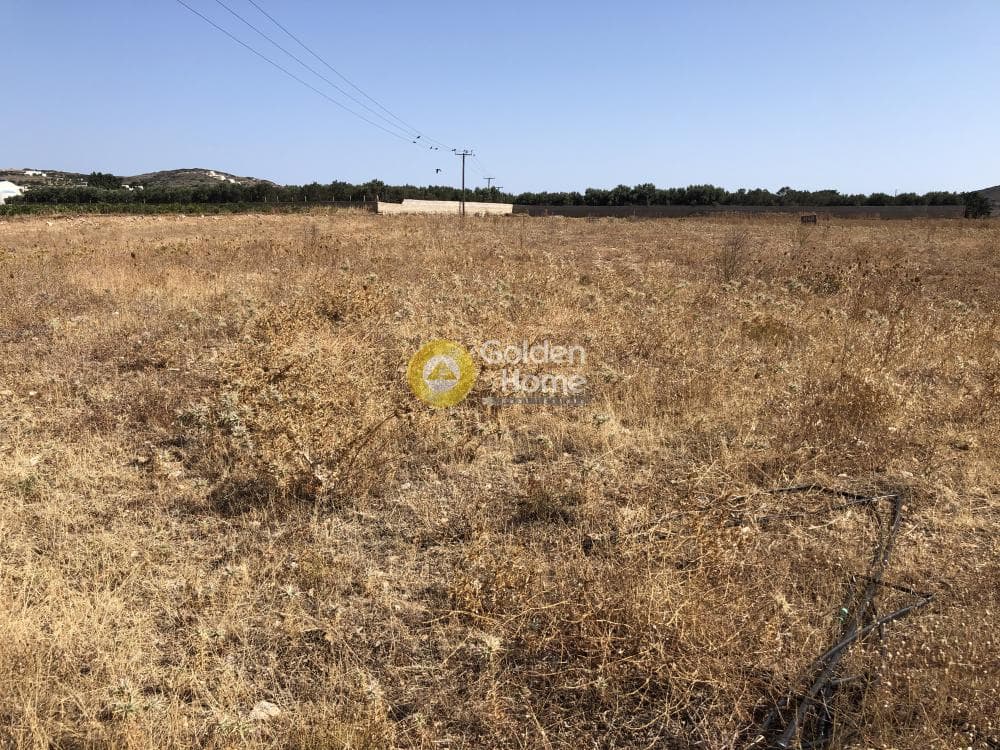 Parcel in Glifades, Paros — Photo 11 of 11
