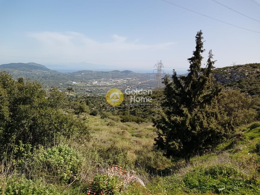 Parcel in Venio Daskaleiou, Keratea — Photo 1 of 9