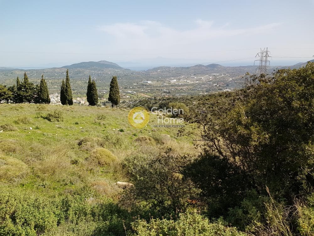 Parcel in Venio Daskaleiou, Keratea — Photo 3 of 9