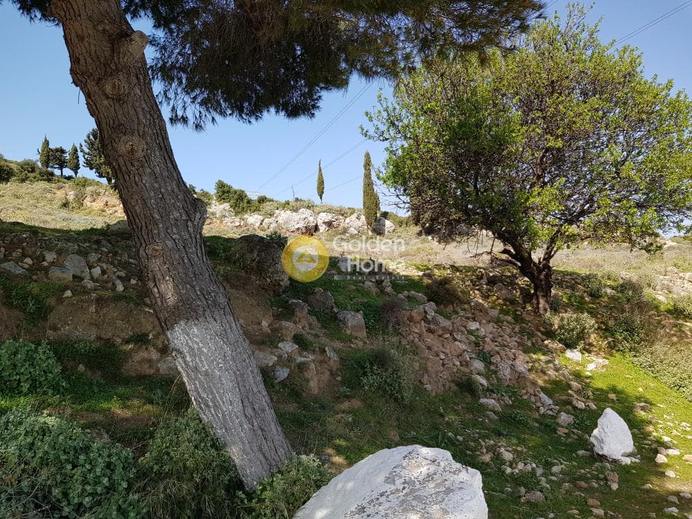 Parcel in Venio Daskaleiou, Keratea — Photo 5 of 9
