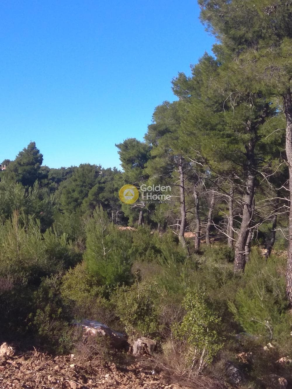 Building Plot in Rodopoli, Rodopoli — Photo 2 of 5