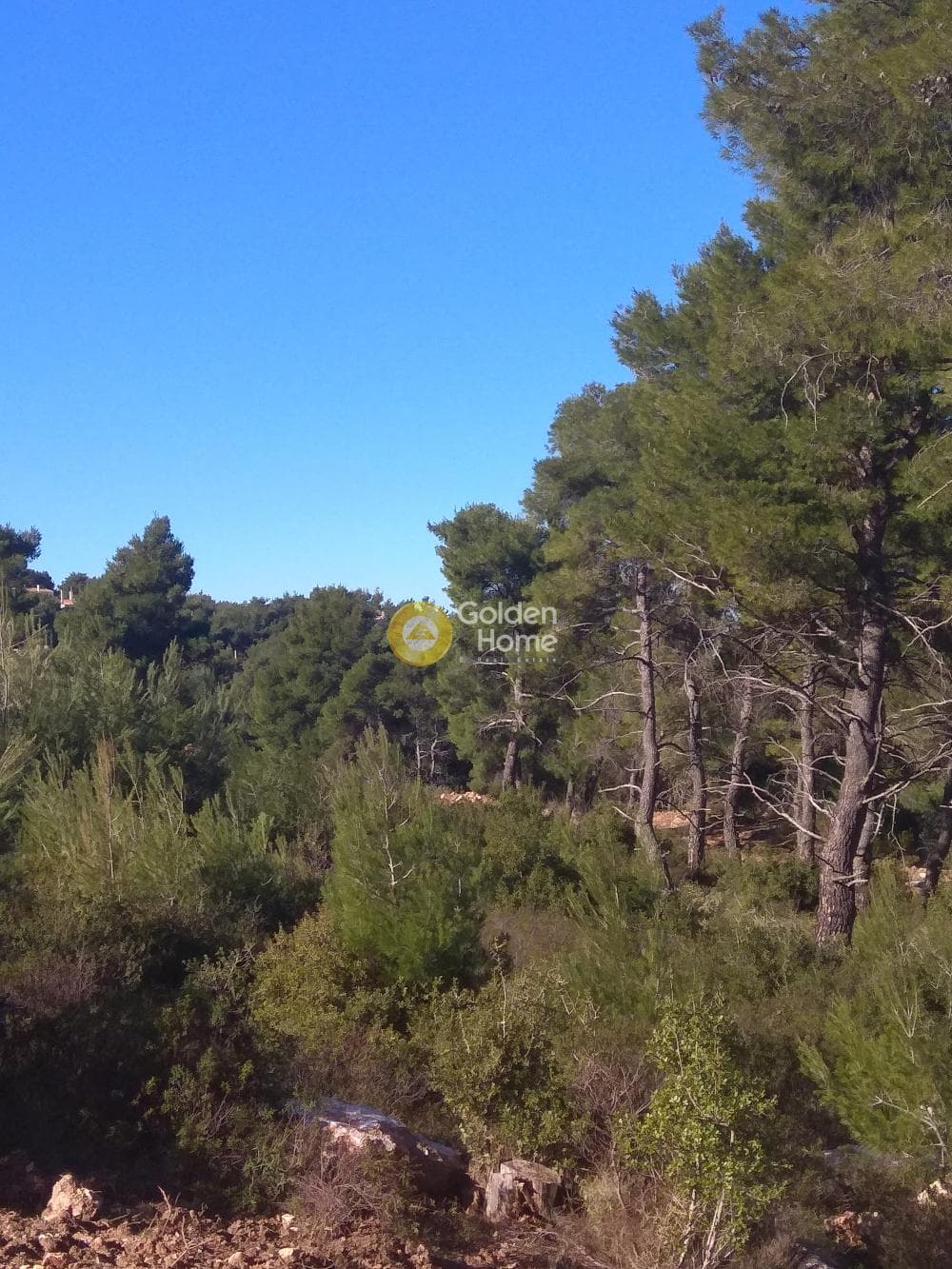 Building Plot in Rodopoli, Rodopoli — Photo 3 of 5