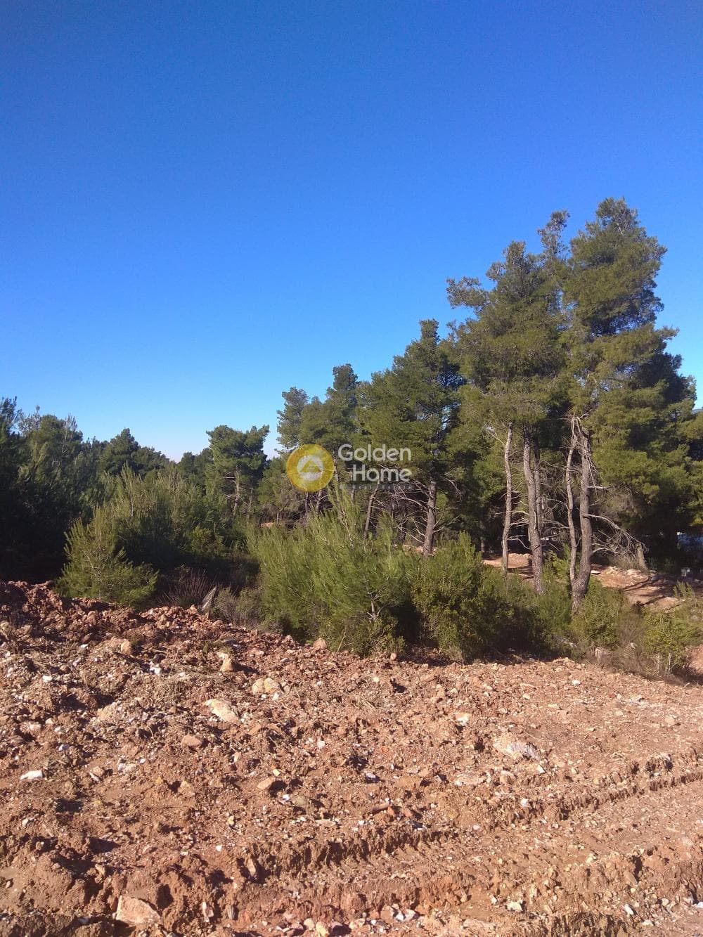 Building Plot in Rodopoli, Rodopoli — Photo 5 of 5