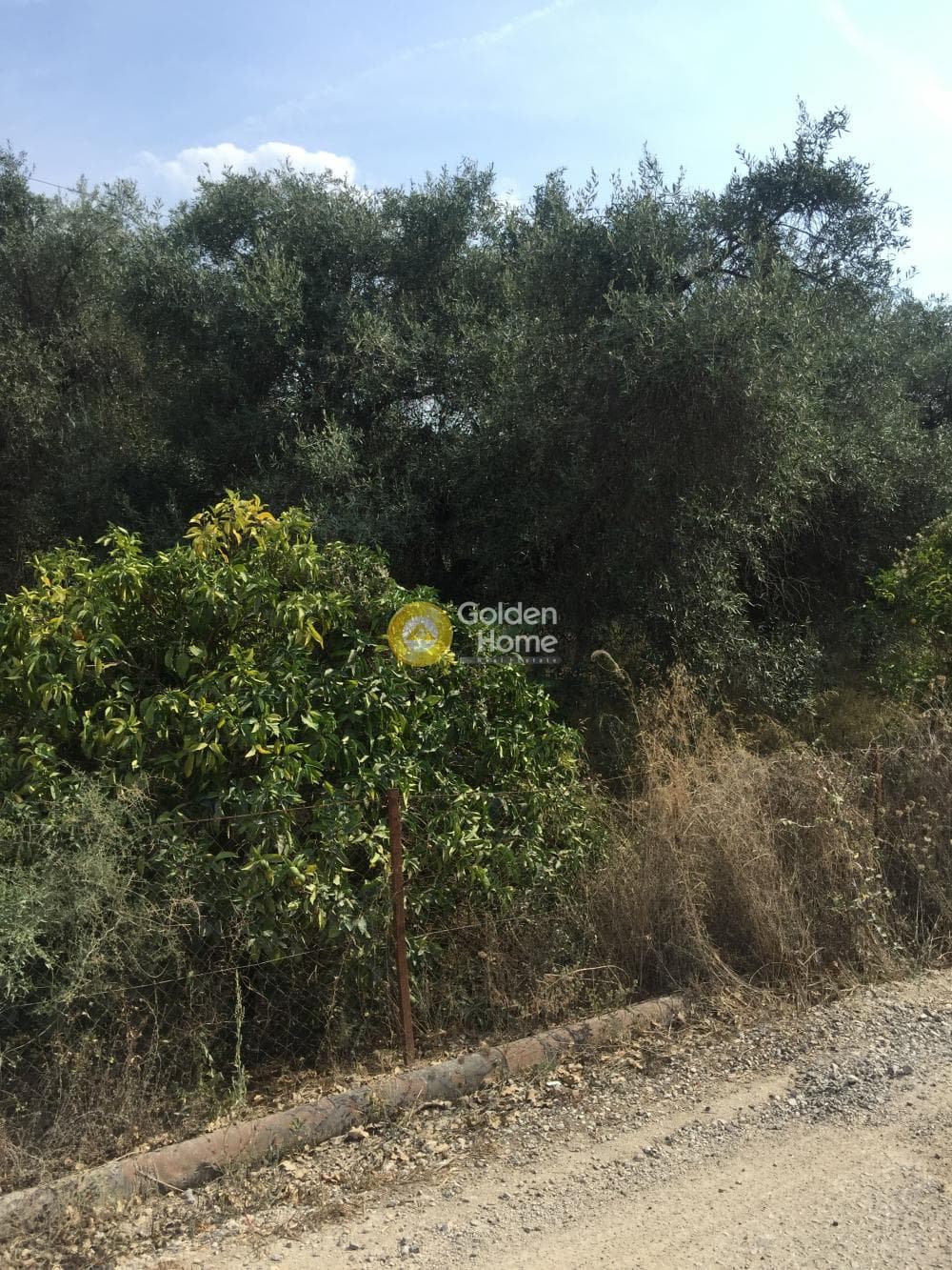 Οικόπεδο στην Κασσιόπη, Κέρκυρα — Φωτογραφία 10 από 11