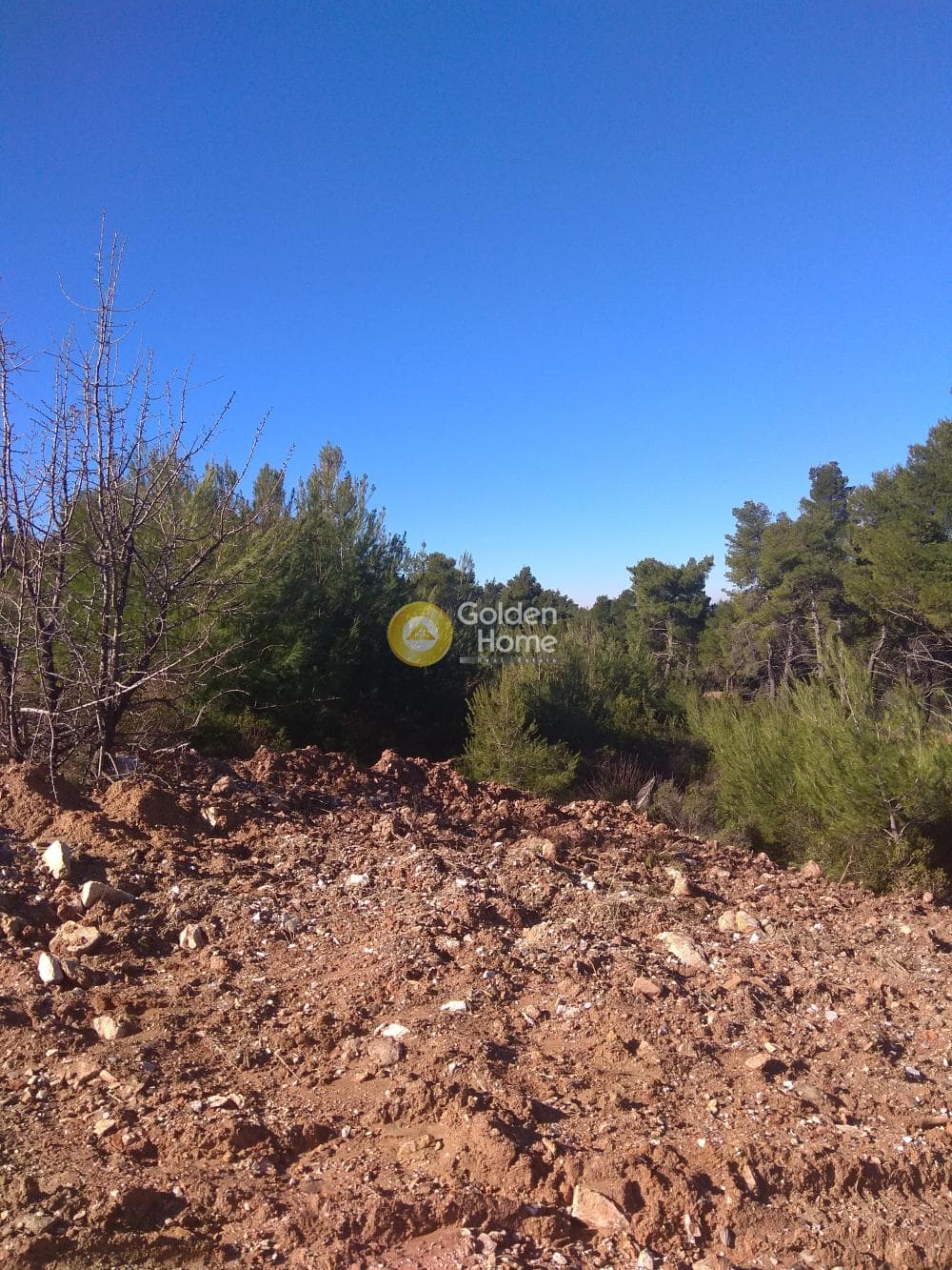 Parcel in Amigdaleza, Stamata