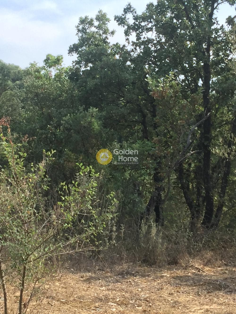 Οικόπεδο στην Κασσιόπη, Κέρκυρα — Φωτογραφία 1 από 13