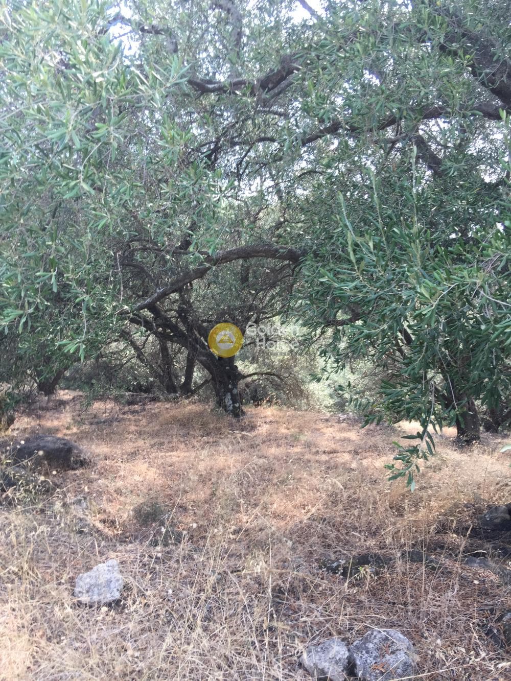 Οικόπεδο στην Κασσιόπη, Κέρκυρα — Φωτογραφία 13 από 13