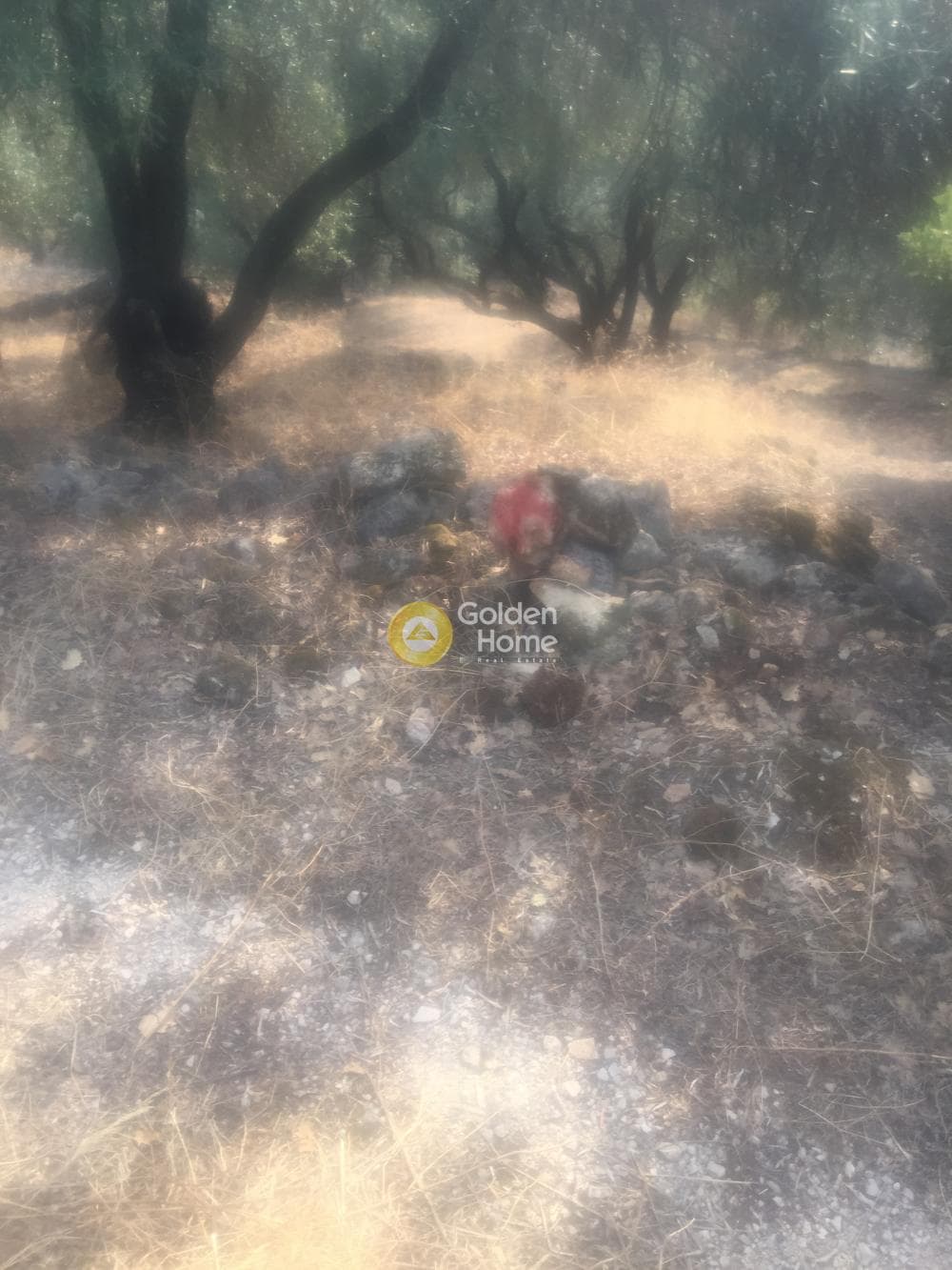 Οικόπεδο στην Κασσιόπη, Κέρκυρα — Φωτογραφία 12 από 13
