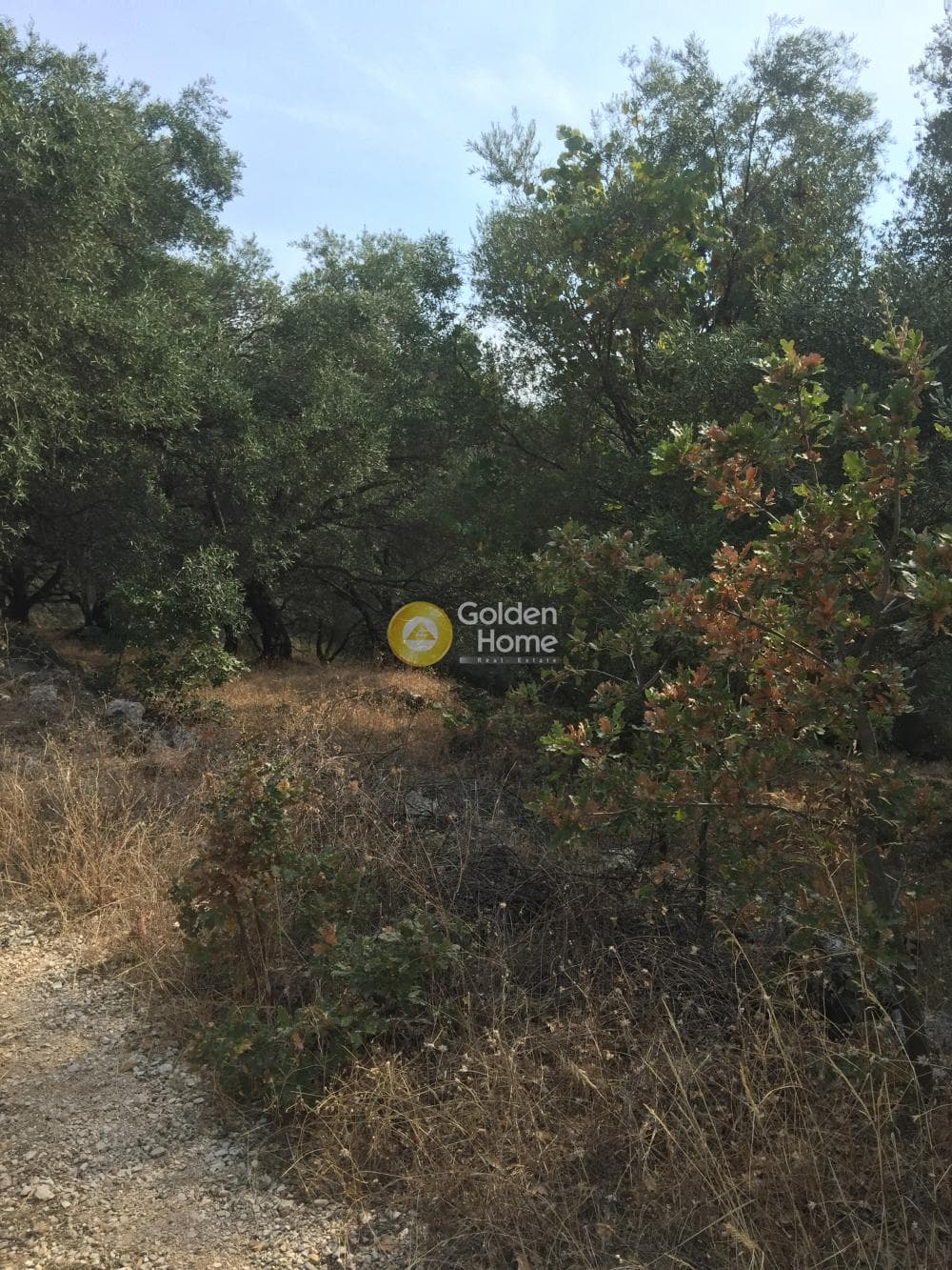 Οικόπεδο στην Κασσιόπη, Κέρκυρα — Φωτογραφία 10 από 13