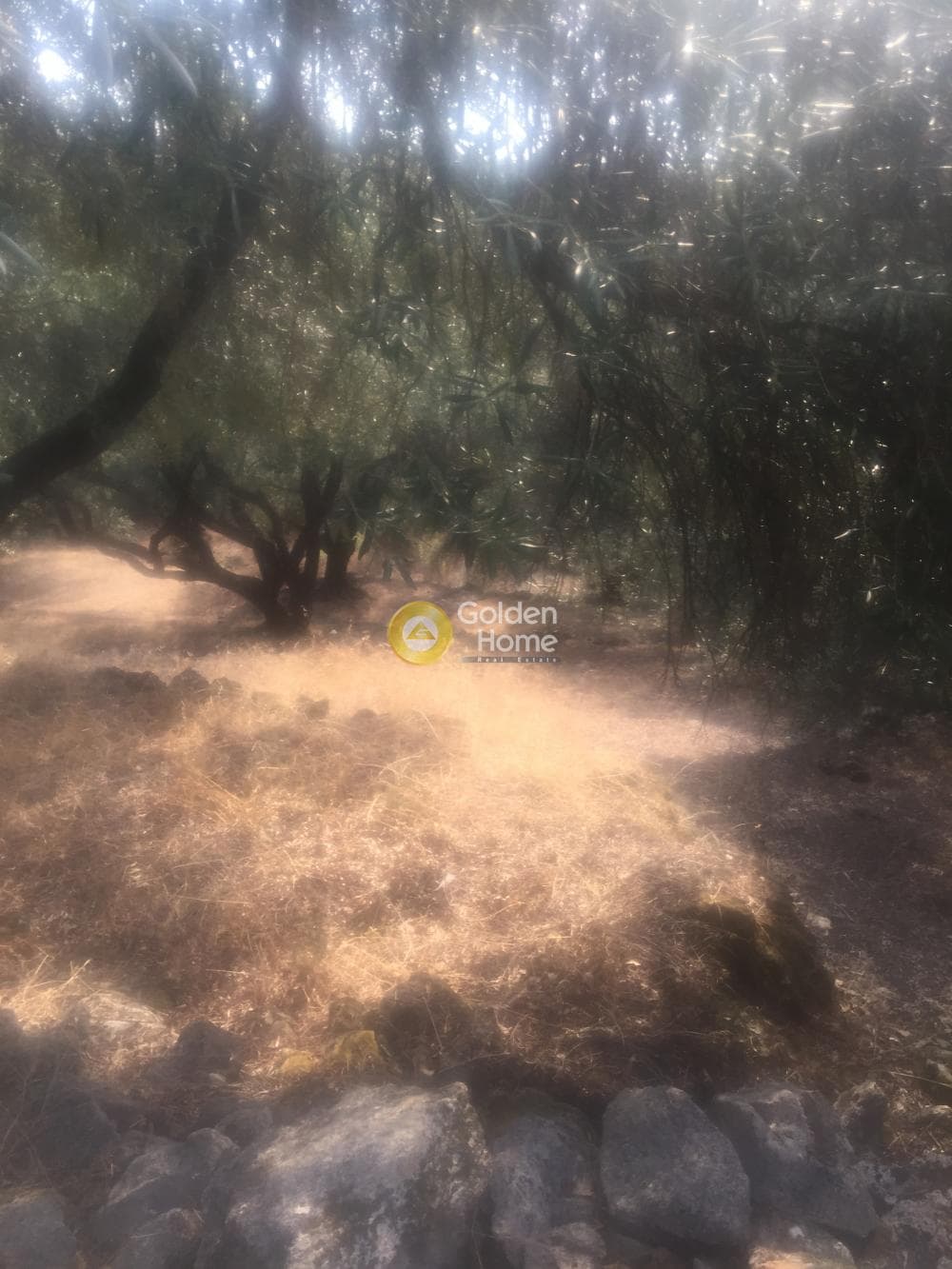 Οικόπεδο στην Κασσιόπη, Κέρκυρα — Φωτογραφία 9 από 13