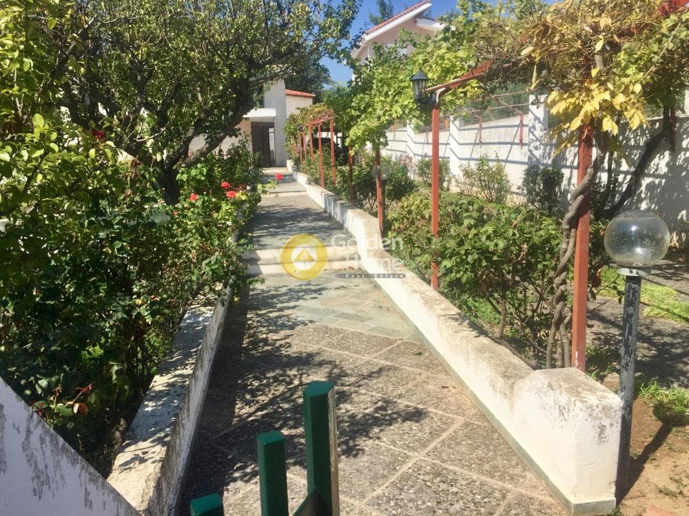 Μονοκατοικία στην Καπανδρίτι, Κ. Καπανδριτίου — Φωτογραφία 8 από 14