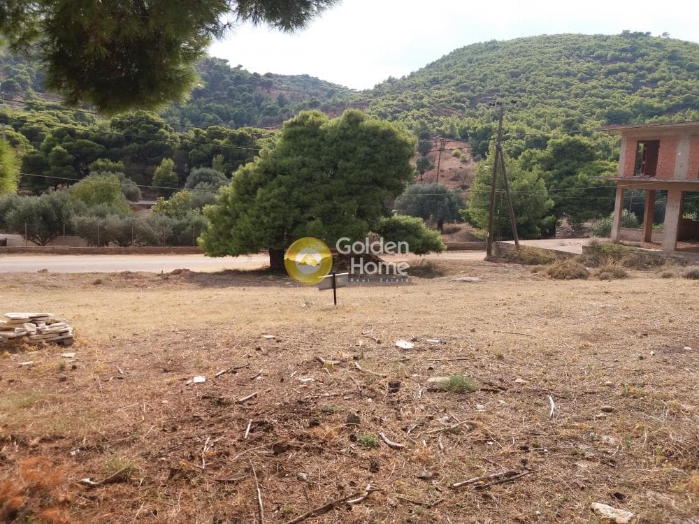 Οικόπεδο στην Παλιοκαμάριζα, Λαύριο — Φωτογραφία 4 από 5