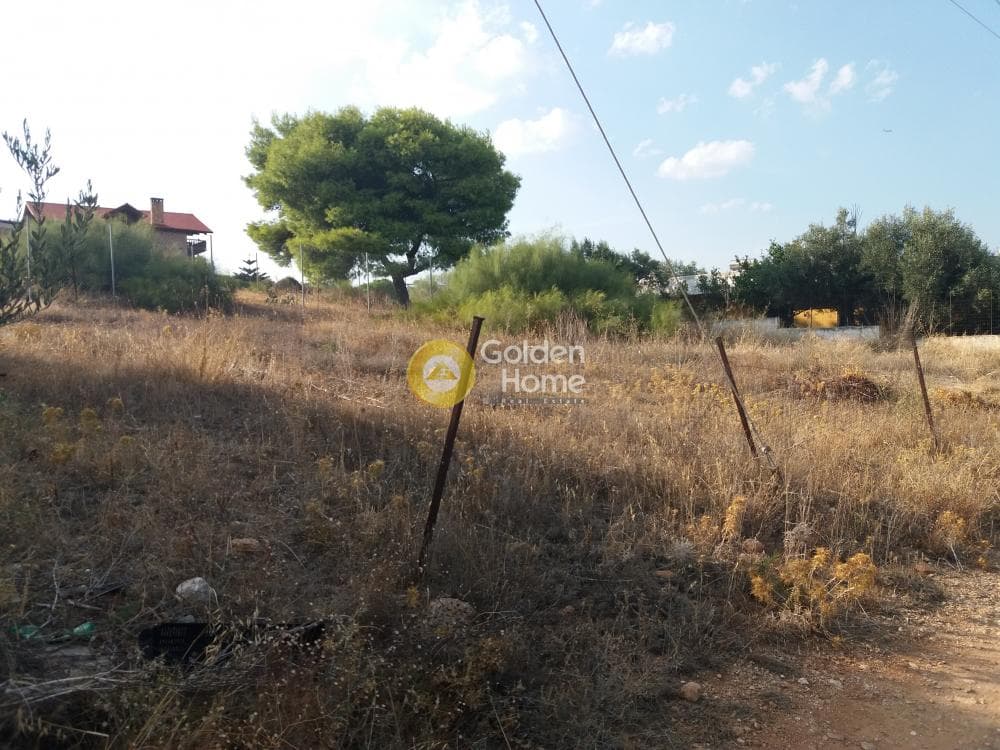 Building Plot in Agia Marina, Koropi — Photo 1 of 3