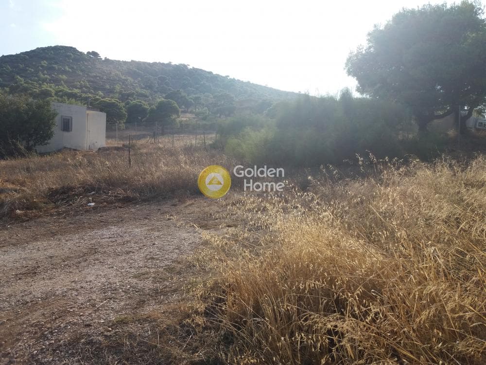 Building Plot in Agia Marina, Koropi — Photo 2 of 3