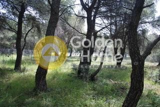 Οικόπεδο στην Μεγάλα Σχοινία Α, Αχαρνές — Φωτογραφία 2 από 3