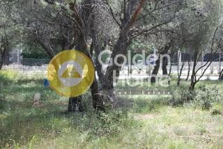 Οικόπεδο στην Μεγάλα Σχοινία Α, Αχαρνές — Φωτογραφία 1 από 3