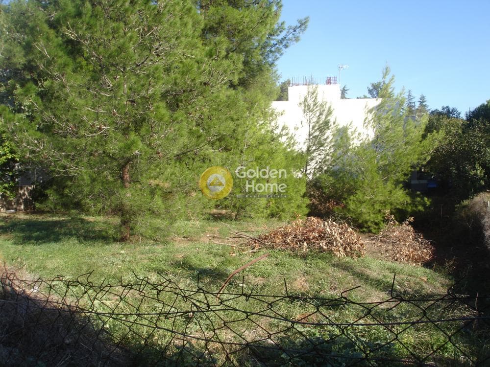 Building Plot in Adames Oikismos Peloponnision, Kifisia — Photo 5 of 7