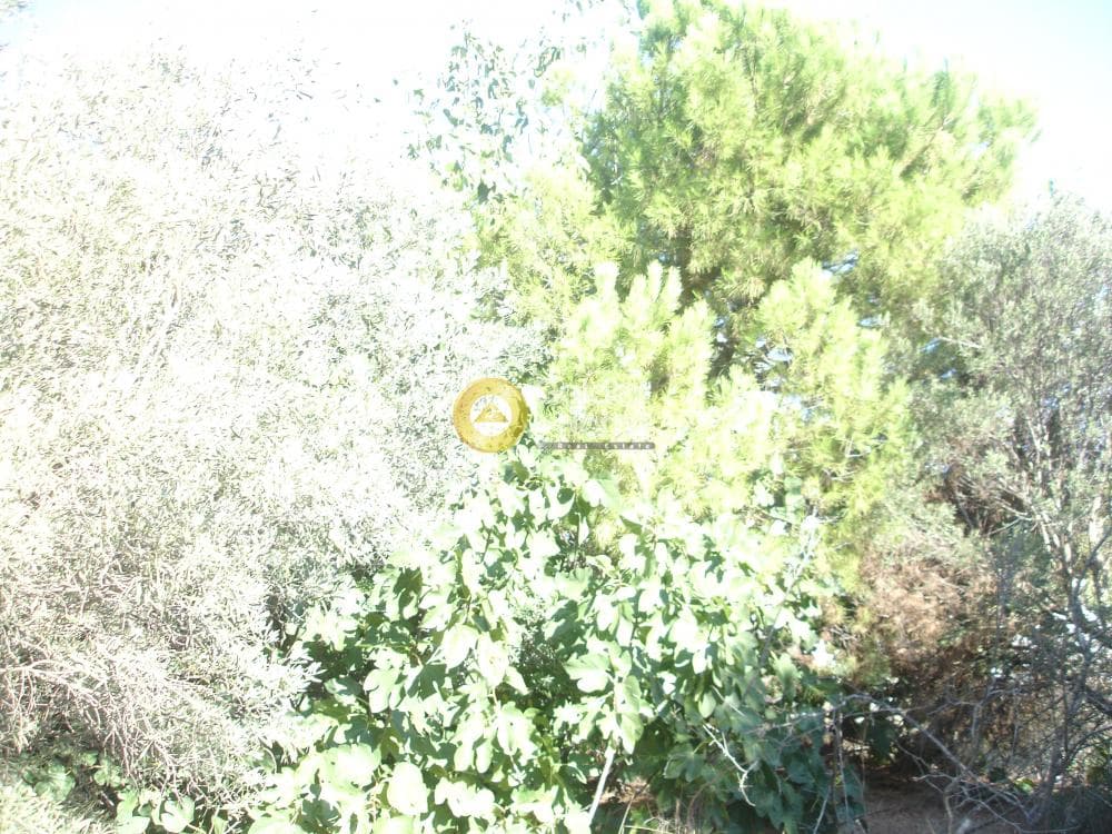 Οικόπεδο στην Οικισμός Ποντίων, Άγιος Στέφανος — Φωτογραφία 1 από 12
