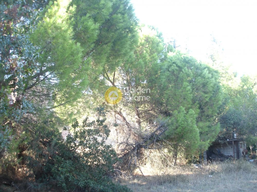 Οικόπεδο στην Οικισμός Ποντίων, Άγιος Στέφανος — Φωτογραφία 3 από 12