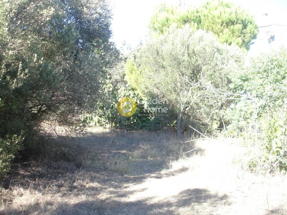 Οικόπεδο στην Οικισμός Ποντίων, Άγιος Στέφανος — Φωτογραφία 11 από 12