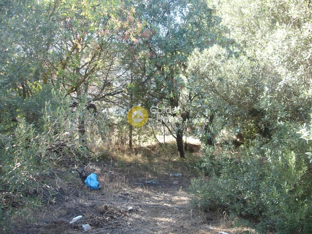 Οικόπεδο στην Οικισμός Ποντίων, Άγιος Στέφανος — Φωτογραφία 12 από 12