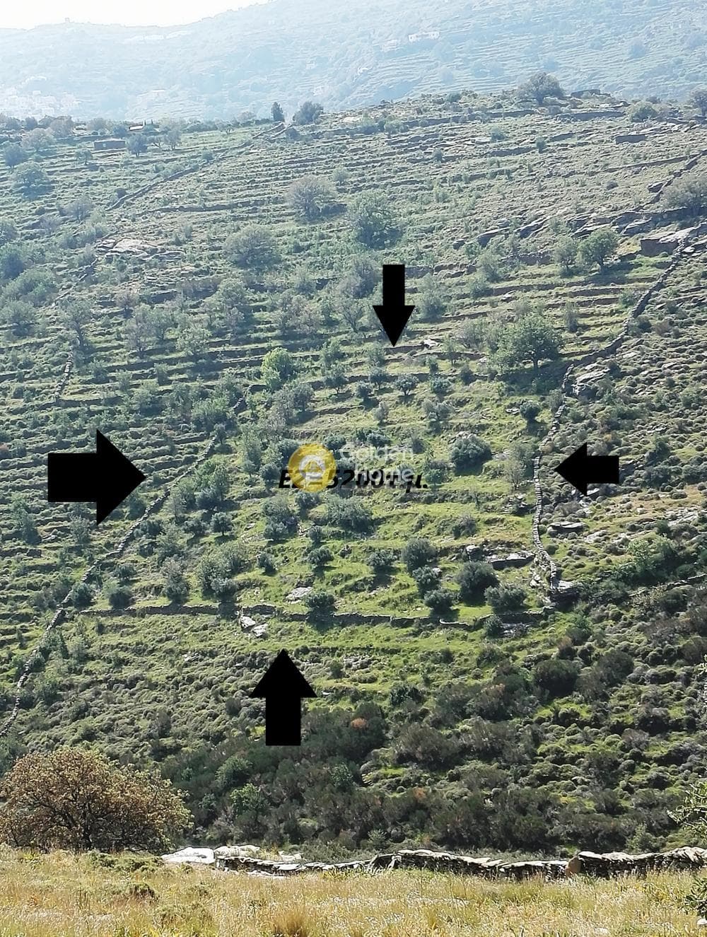 Αγροτεμάχιο στην Φωτημάρι, Κέα — Φωτογραφία 1 από 4