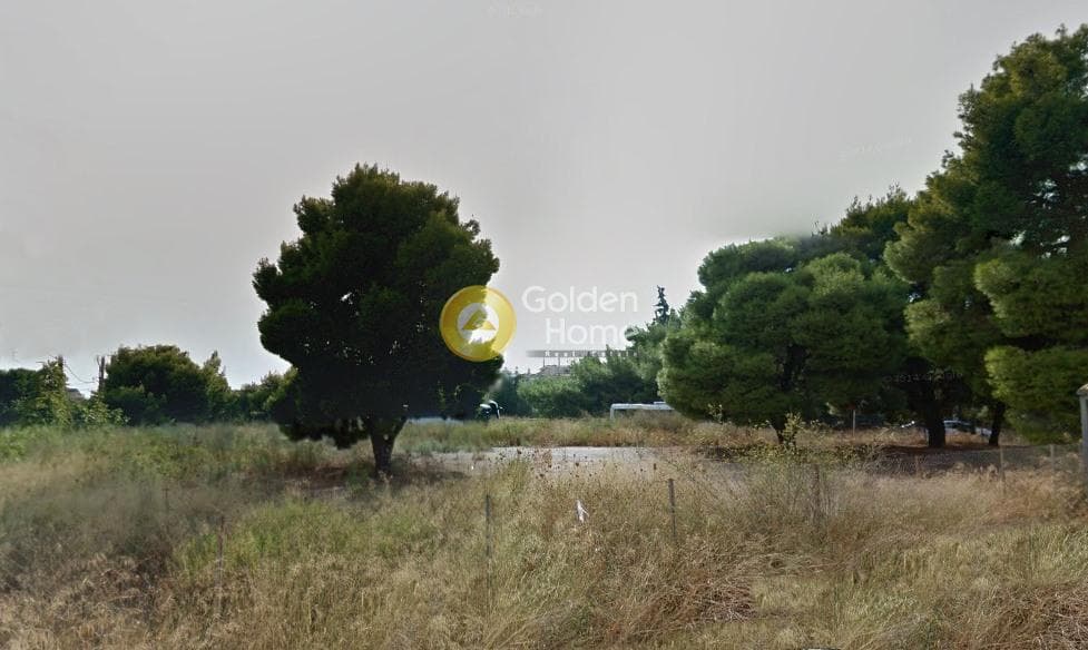 Building Plot in Adames Oikismos Peloponnision, Kifisia — Photo 6 of 7