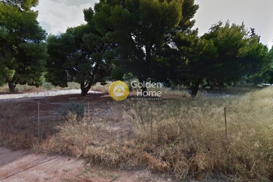 Building Plot in Adames Oikismos Peloponnision, Kifisia — Photo 7 of 7