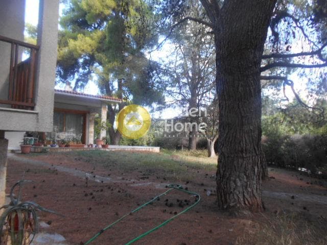 House in Adames Oikismos Peloponnision, Kifisia — Photo 11 of 30