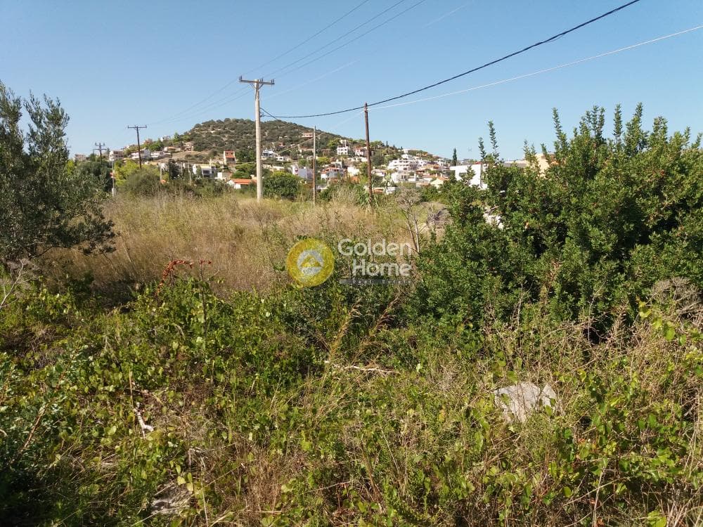 Οικόπεδο στην Πόρτο Ράφτη, Βραυρώνα — Φωτογραφία 4 από 11