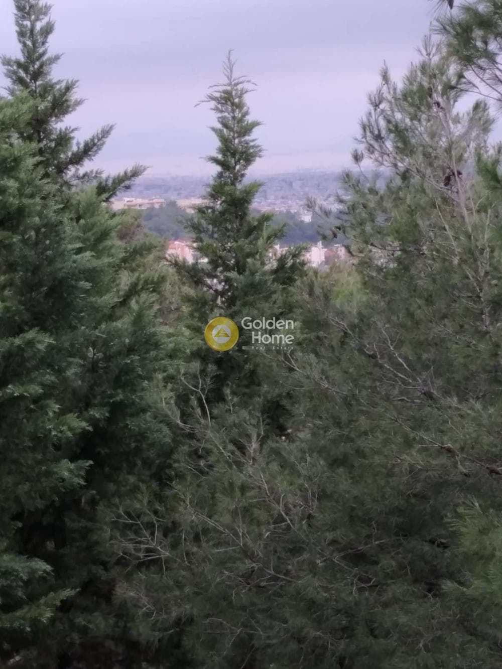 Διαμέρισμα στην Άνω Μελίσσια, Μελίσσια — Φωτογραφία 33 από 34