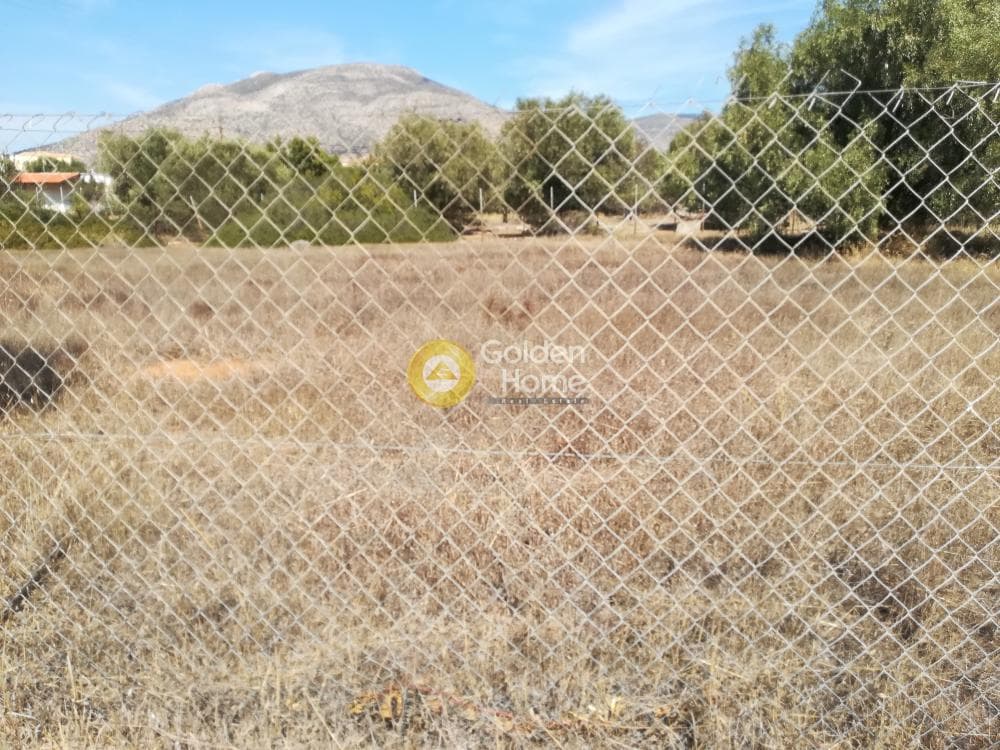 Οικόπεδο στην Καλύβια, Καλύβια Θορικού — Φωτογραφία 1 από 4