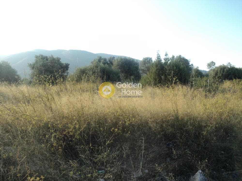 Οικόπεδο στην Αγία Τριάδα, Παιανία — Φωτογραφία 1 από 8