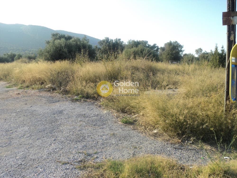 Οικόπεδο στην Αγία Τριάδα, Παιανία — Φωτογραφία 2 από 8